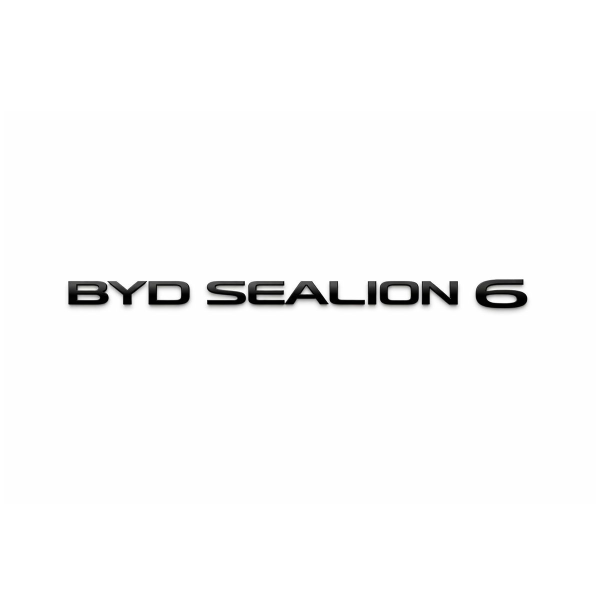 BYD Sealion 6 Siyah Bagaj Yazısı Byd Uyumlu