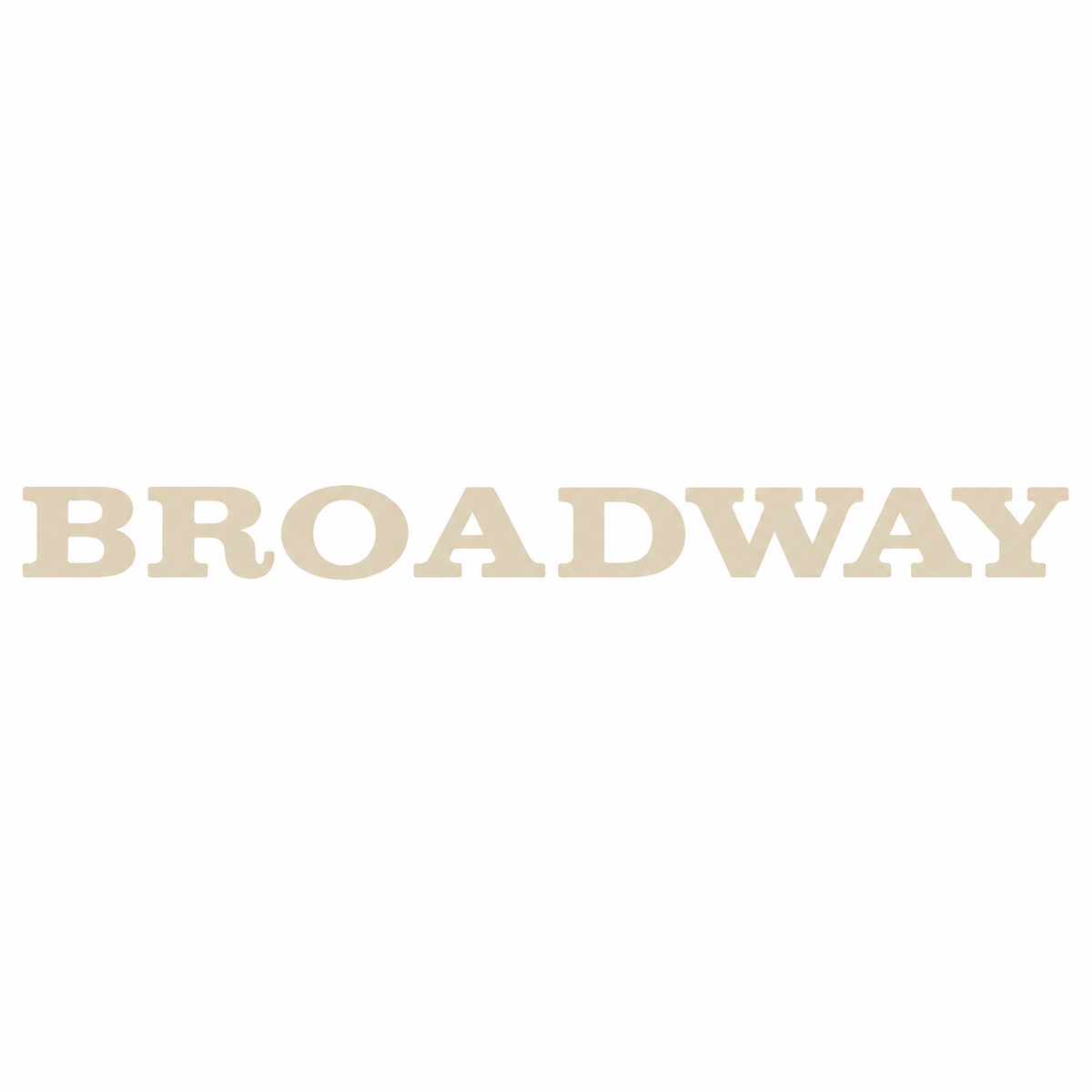 Broadway Bronz Bagaj Yazısı Renault Uyumlu