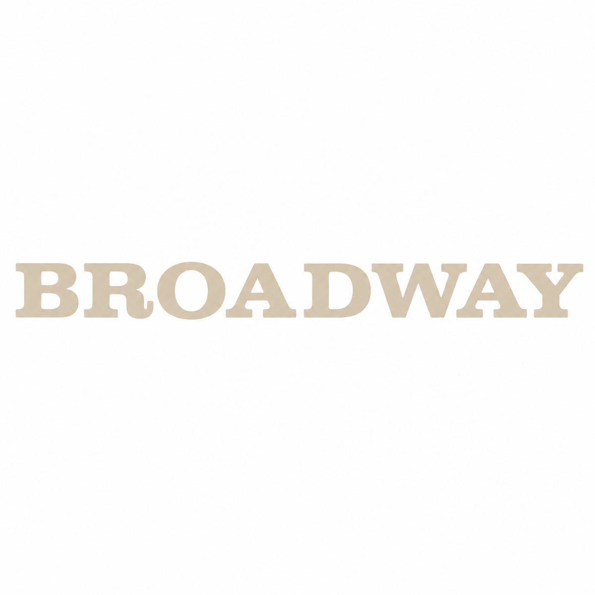 Broadway Bronz Bagaj Yazısı Renault Uyumlu